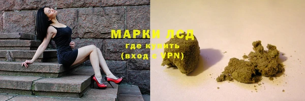 шишки Баксан