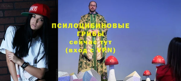 шишки Баксан
