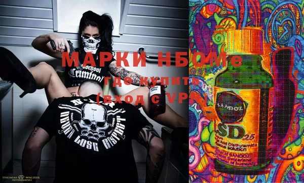 шишки Баксан