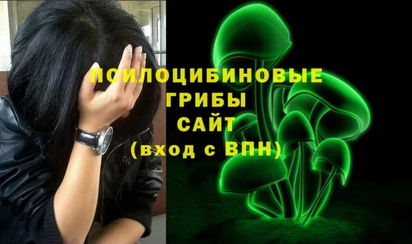 шишки Баксан